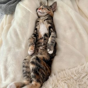 atelier relaxation ados