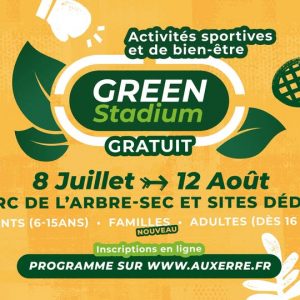 green stadium auxerre